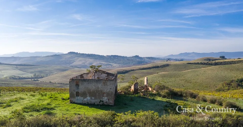 0 bed  For Sale in Pisa - Peccioli,  - 3