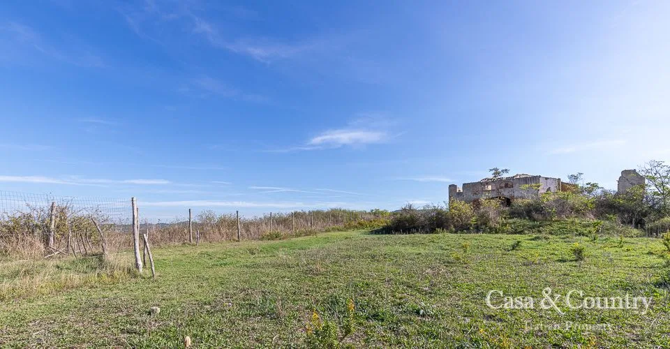 0 bed  For Sale in Pisa - Peccioli,  - photo 15