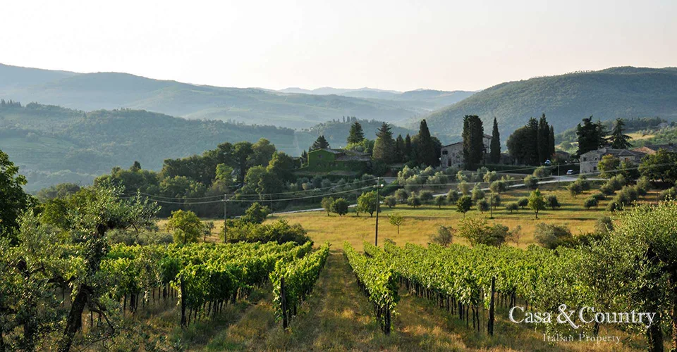 7 bed  For Sale in Chianti Classico,  - 2