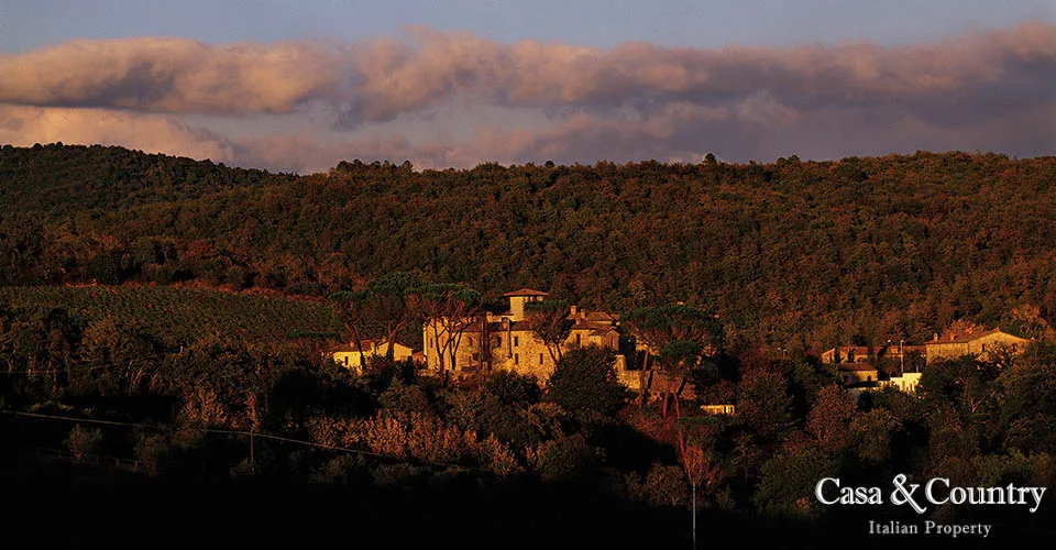1 bed  For Sale in Siena - Castelnuovo Berardenga,  - 1