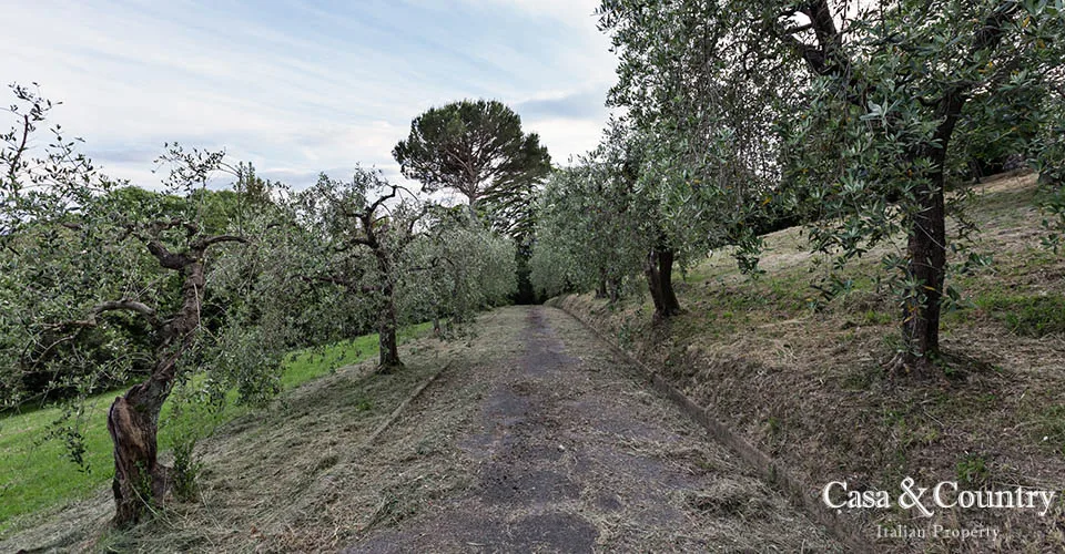 6 bed  For Sale in Lucca,  - photo 36