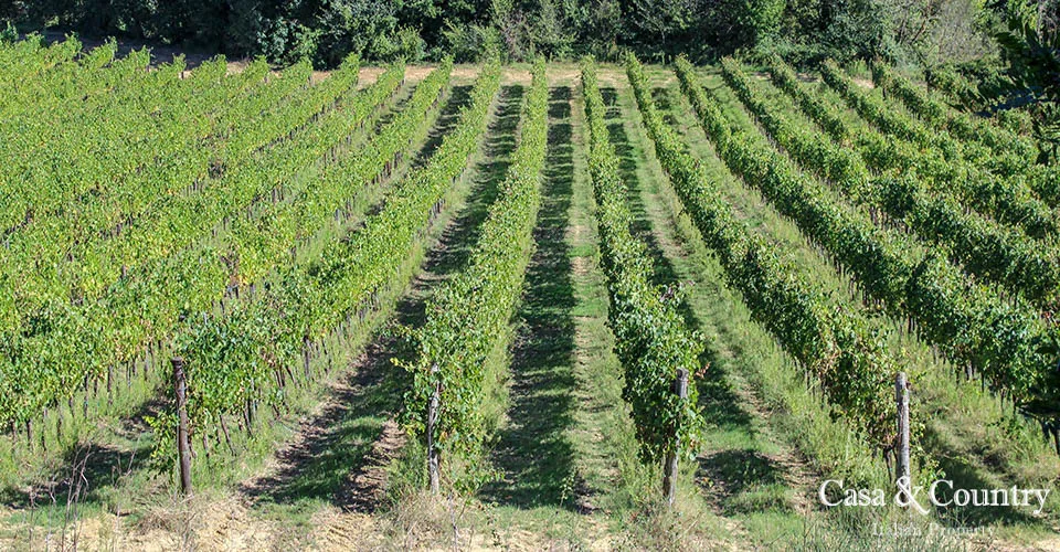 12 bed  For Sale in Chianti Classico,  - photo 25