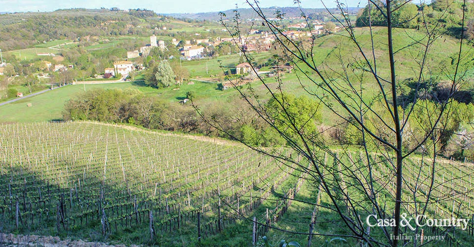 12 bed  For Sale in Chianti Classico,  - photo 10