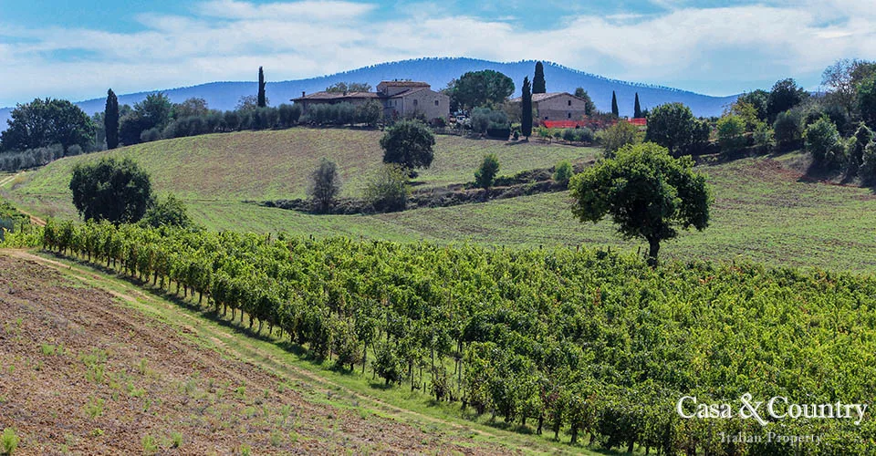 12 bed  For Sale in Chianti Classico,  - 2