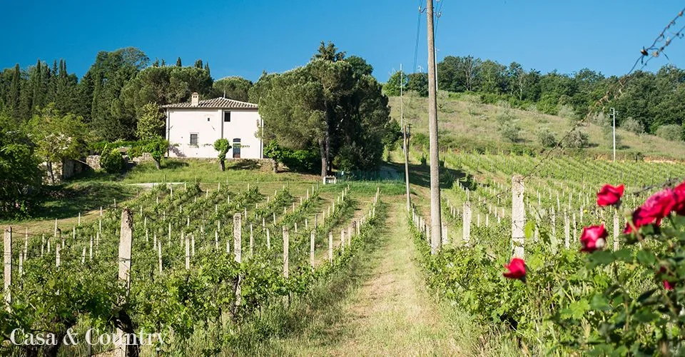 5 bed  For Sale in San Gimignano,  - photo 8