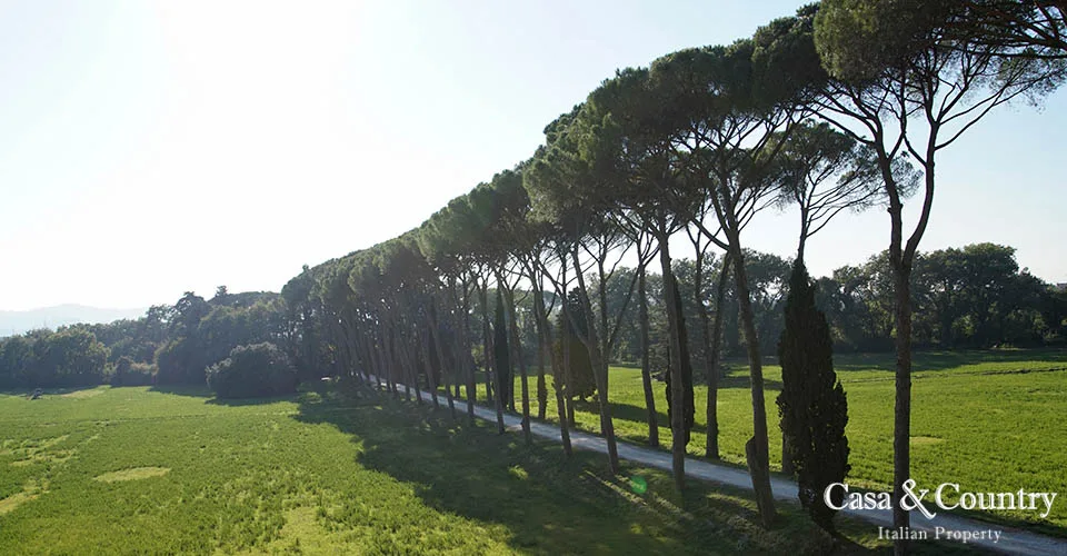 12 bed  For Sale in Florence,  - photo 31