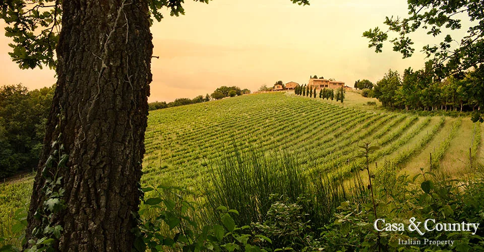 3 bed  For Sale in Siena,  - photo 5