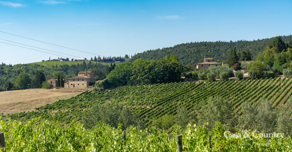 8 bed  For Sale in Chianti Classico,  - photo 24