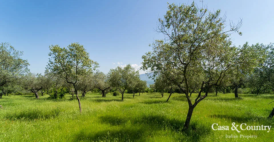 0 bed  For Sale in Figline Val D'arno,  - photo 14