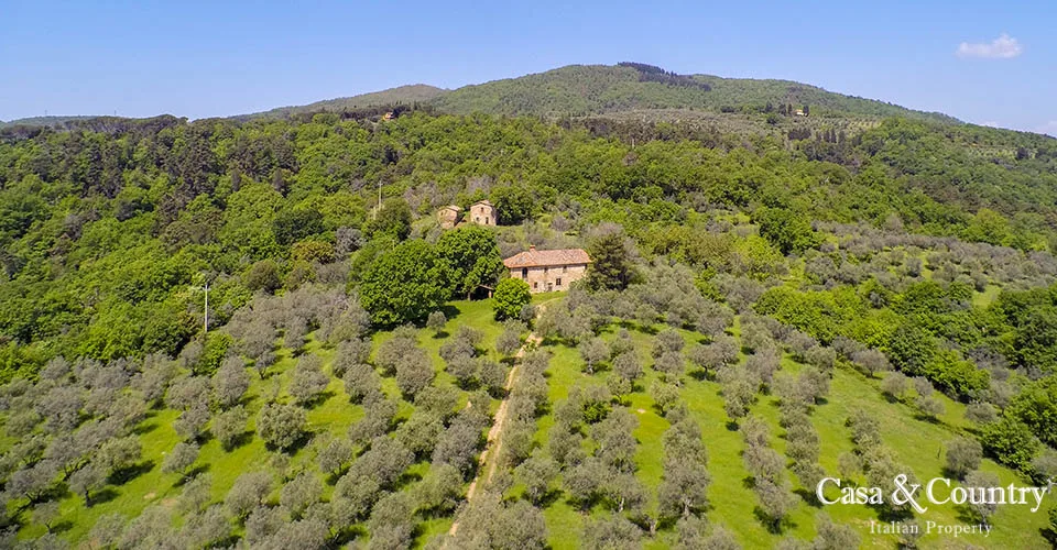 0 bed  For Sale in Figline Val D'arno,  - 3