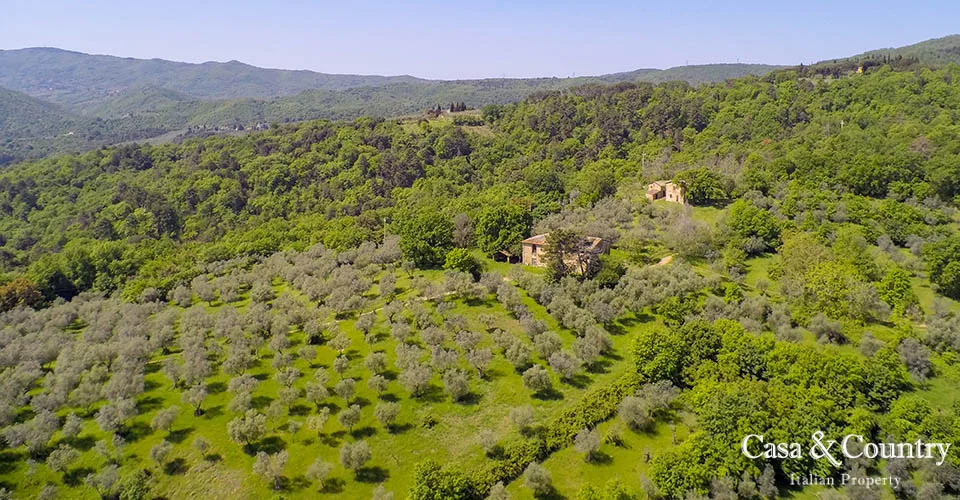 0 bed  For Sale in Figline Val D'arno,  - 4