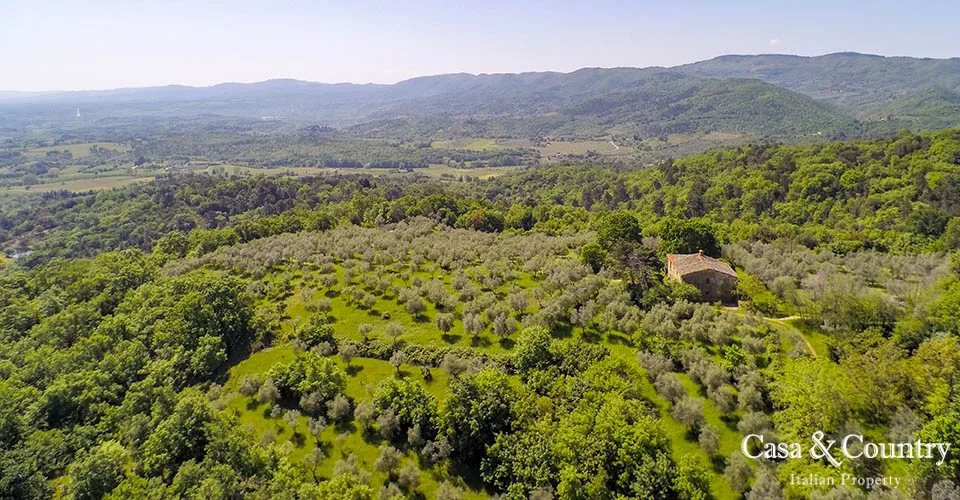 0 bed  For Sale in Figline Val D'arno,  - 6