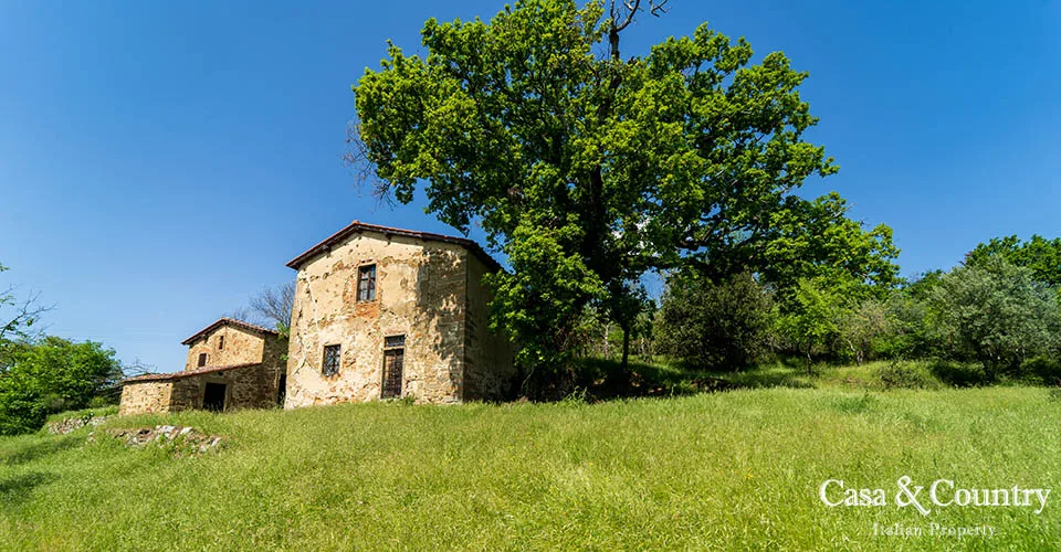 0 bed  For Sale in Figline Val D'arno,  - photo 26