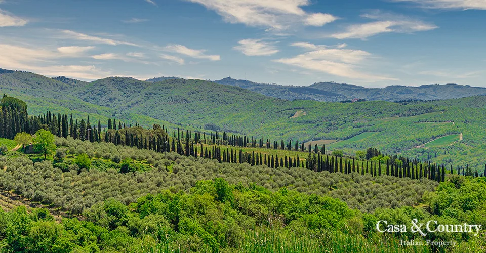 9 bed  For Sale in Chianti,  - photo 14