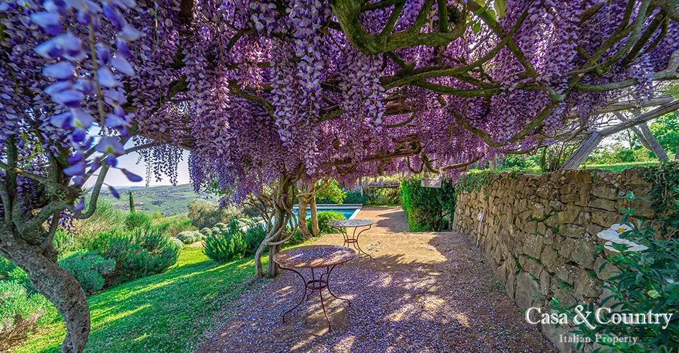 9 bed  For Sale in Chianti,  - photo 7