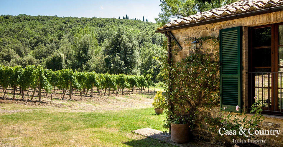 5 bed  For Sale in Montalcino,  - photo 7