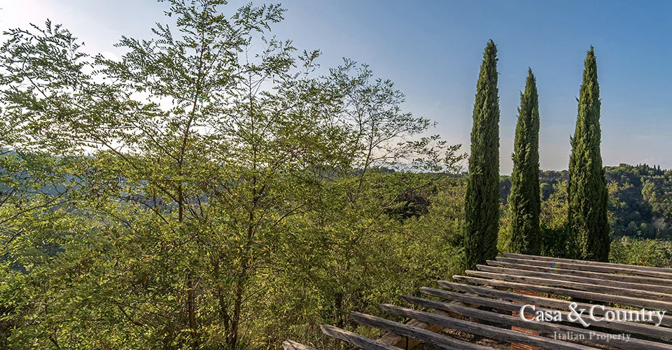 7 bed  For Sale in Palaia,  - photo 10