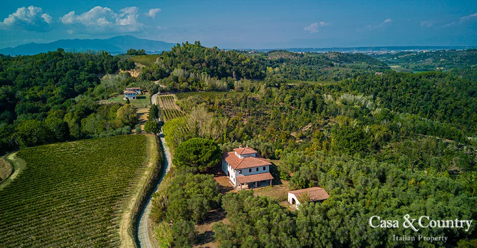 5 bed  For Sale in Palaia,  - 3