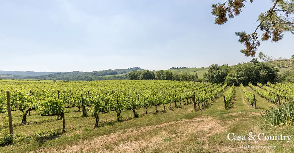 0 bed  For Sale in Chianti,  - photo 7