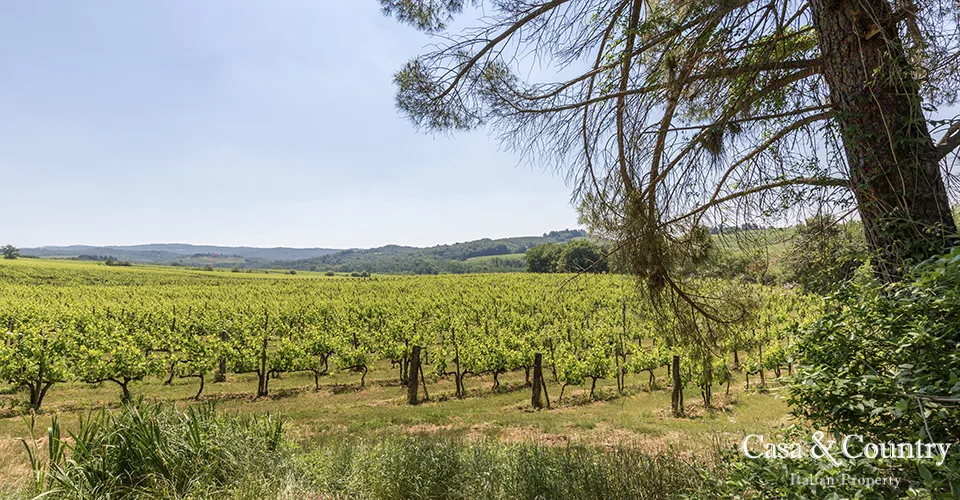 0 bed  For Sale in Chianti,  - photo 8