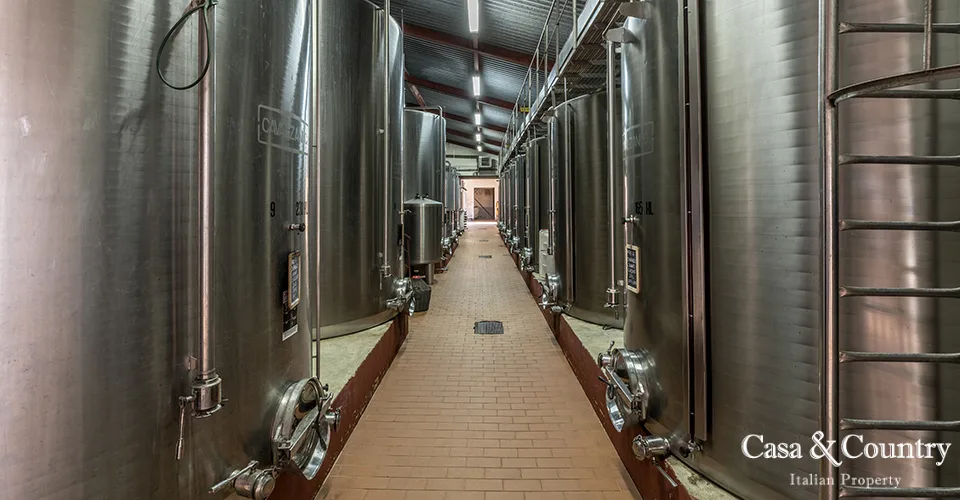 0 bed  For Sale in Chianti,  - photo 33