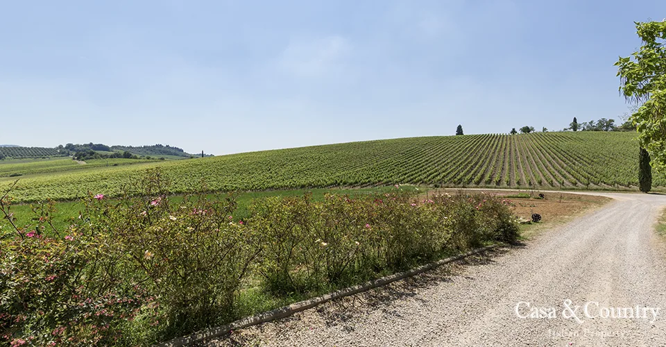 0 bed  For Sale in Chianti,  - photo 11