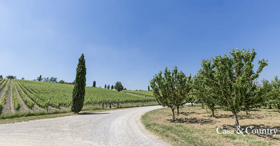 0 bed  For Sale in Chianti,  - photo 12