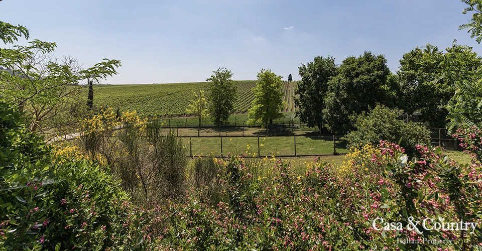 0 bed  For Sale in Chianti,  - photo 18