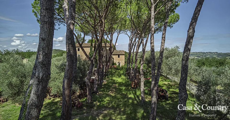 5 bed  For Sale in Chianti,  - photo 7