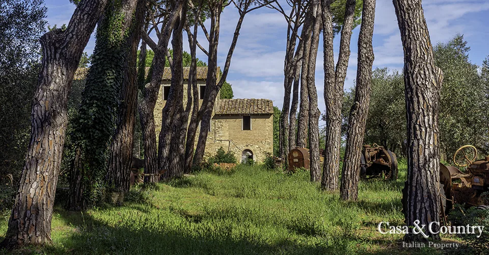 5 bed  For Sale in Chianti,  - photo 8