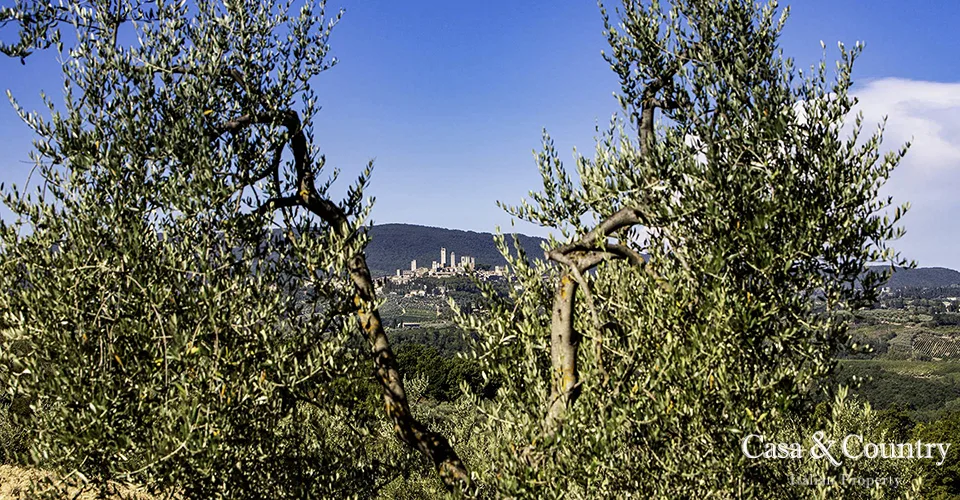 2 bed  For Sale in San Gimignano,  - photo 45
