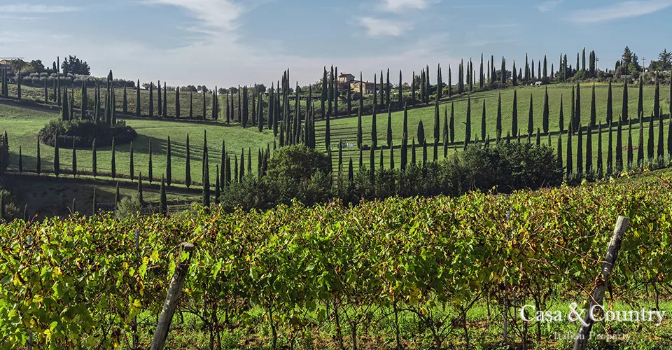 2 bed  For Sale in San Gimignano,  - 5