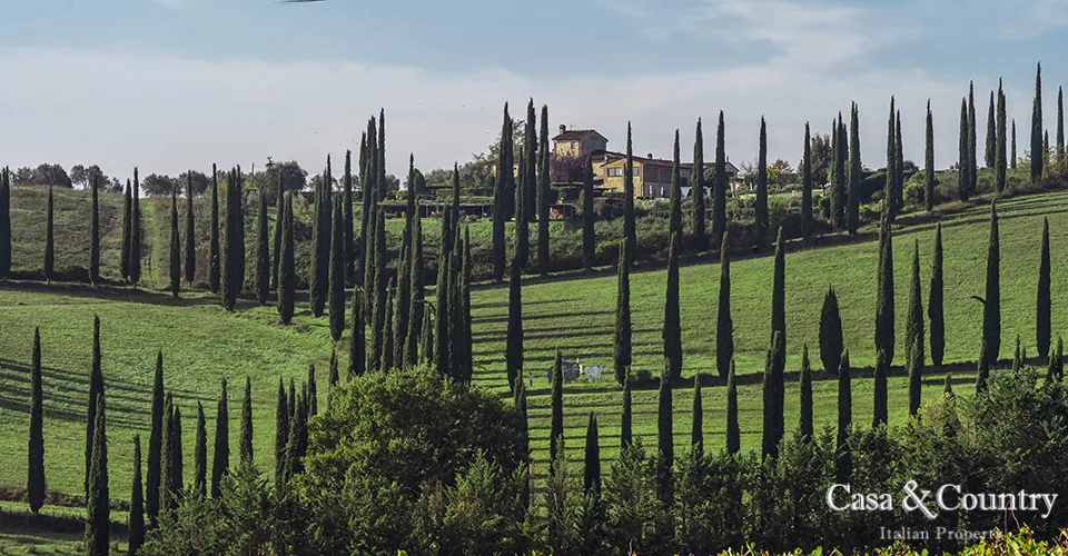2 bed  For Sale in San Gimignano,  - 6
