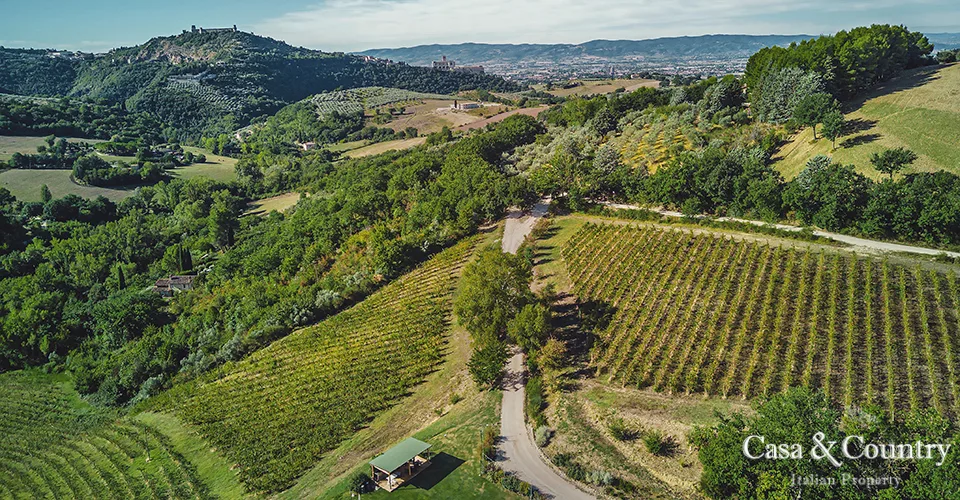 15 bed  For Sale in Umbria,  - photo 9