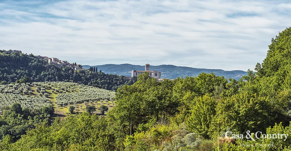 15 bed  For Sale in Umbria,  - photo 14
