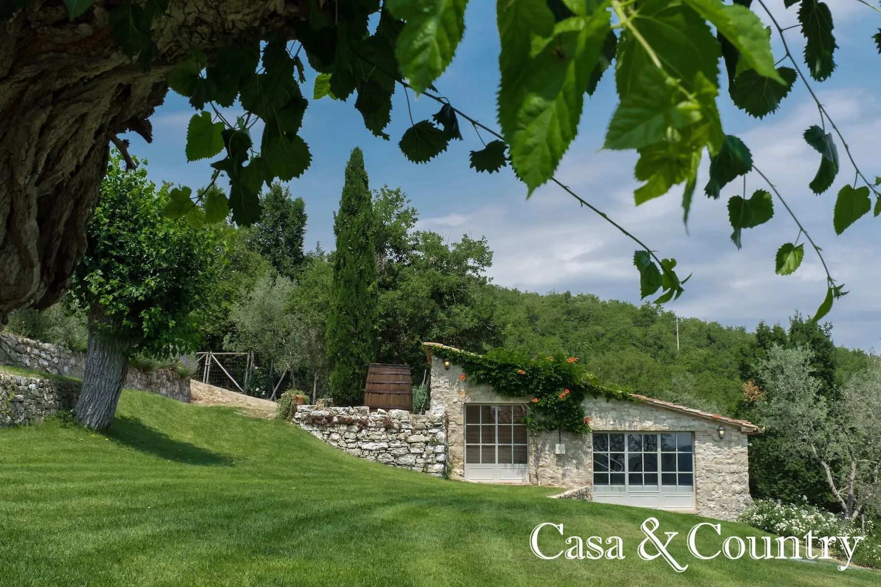 4 bed  For Sale in Radda In Chianti,  - photo 11