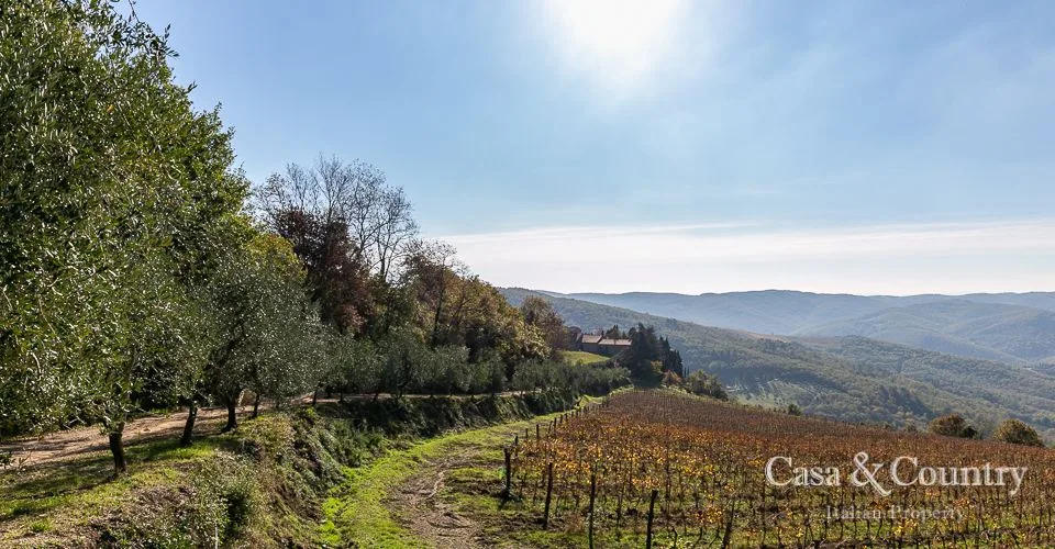 6 bed  For Sale in Chianti Classico,  - photo 24