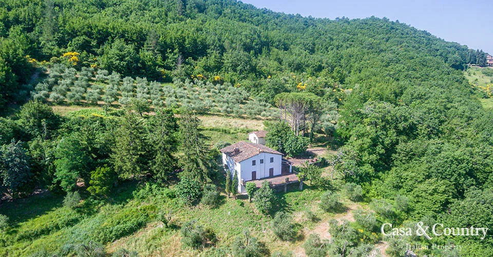 13 bed  For Sale in Florence,  - 4