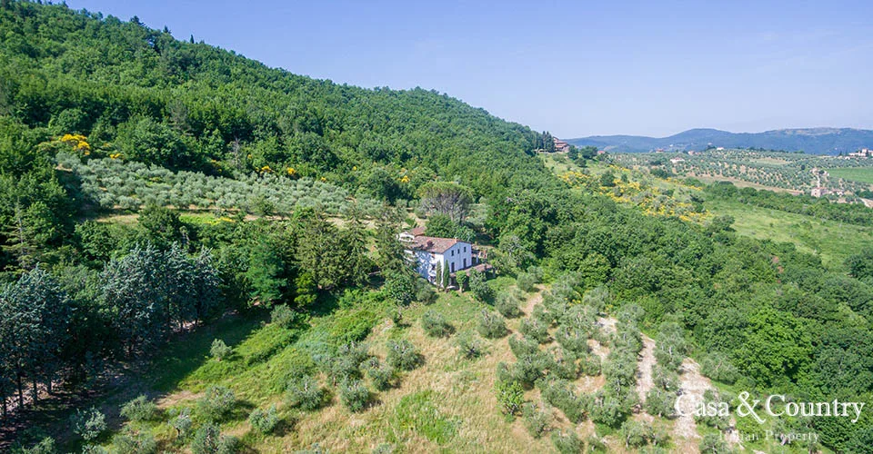 13 bed  For Sale in Florence,  - photo 17