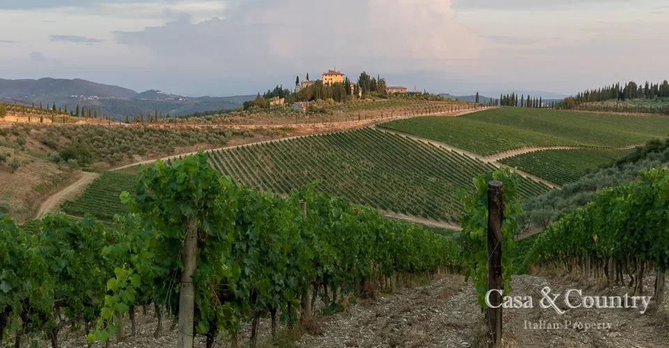 5 bed  For Sale in Chianti Classico,  - photo 33