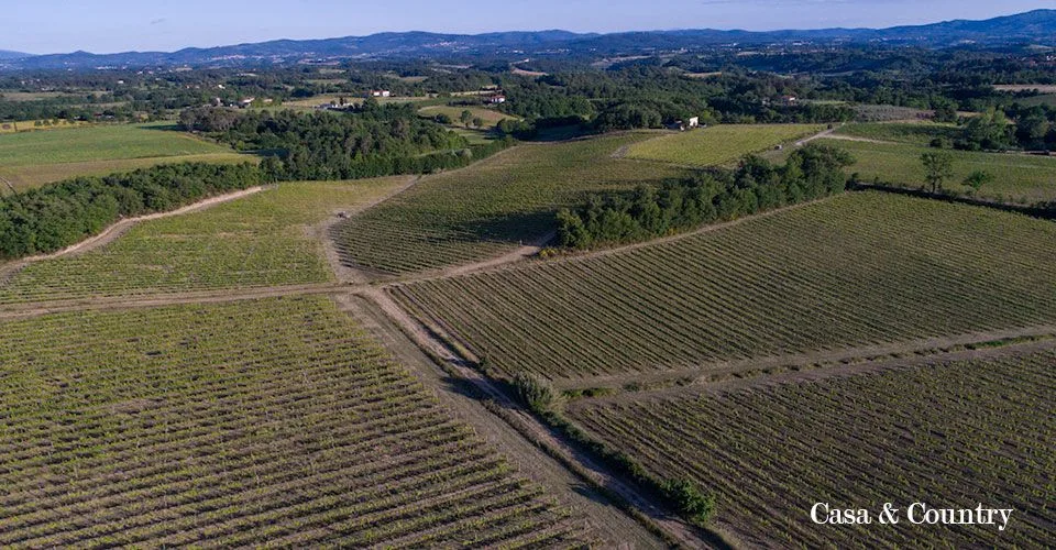 10 bed  For Sale in Florence - Arezzo,  - photo 10