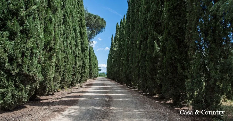 10 bed  For Sale in Florence - Arezzo,  - photo 11