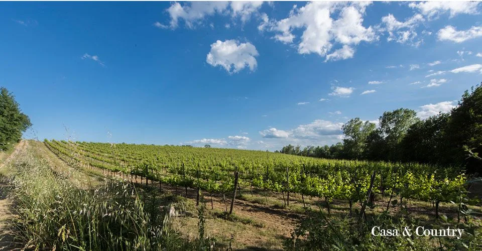 10 bed  For Sale in Florence - Arezzo,  - photo 12